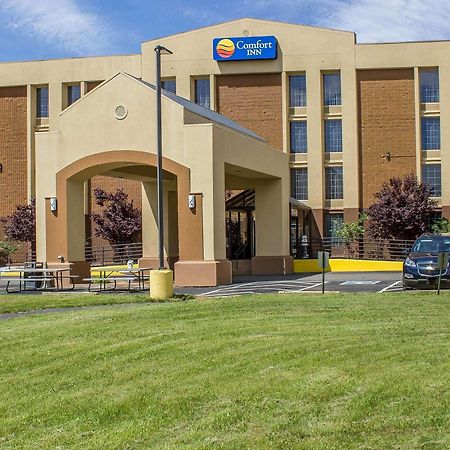 Comfort Inn Wethersfield - Hartford Eksteriør billede