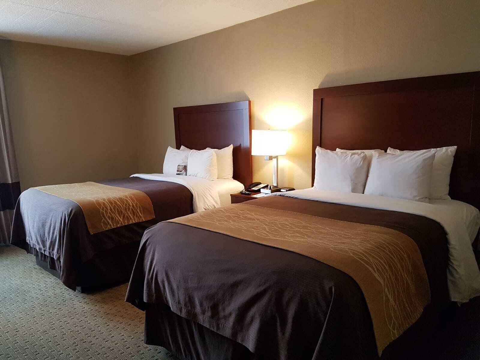Comfort Inn Wethersfield - Hartford Eksteriør billede