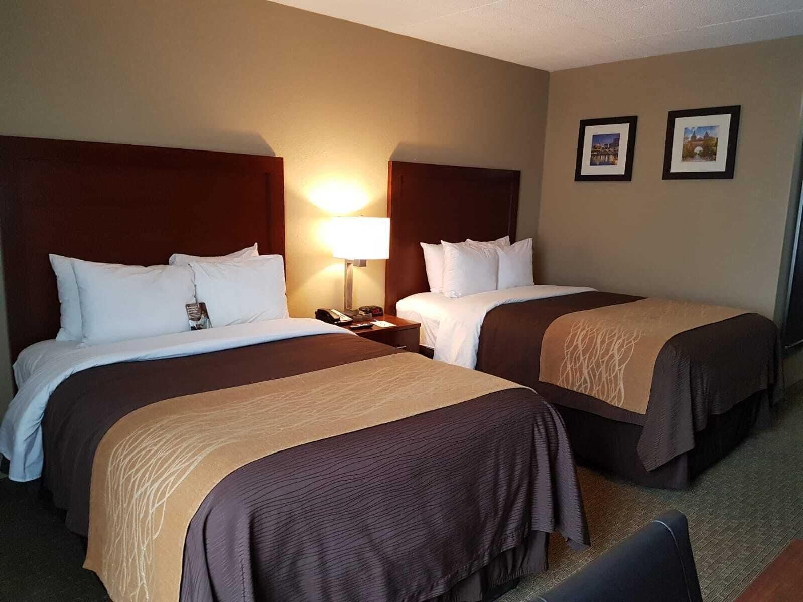 Comfort Inn Wethersfield - Hartford Eksteriør billede